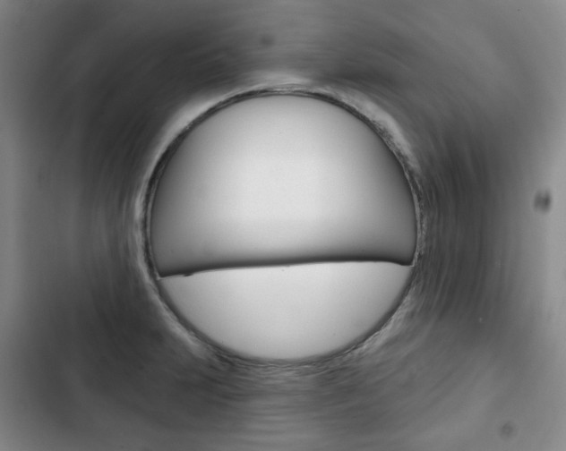X0000103151231200808221120