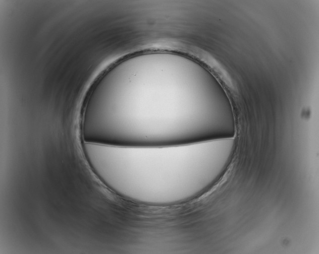 X0000103151232200808221120