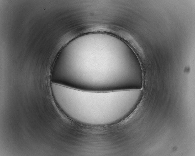 X0000103151233200808221120
