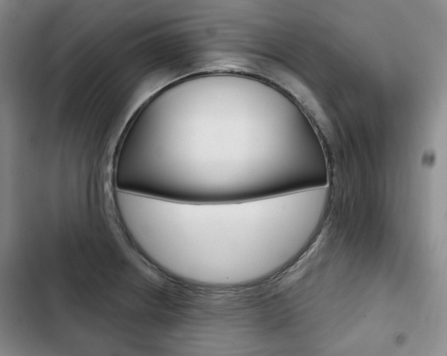 X0000103151234200808221120