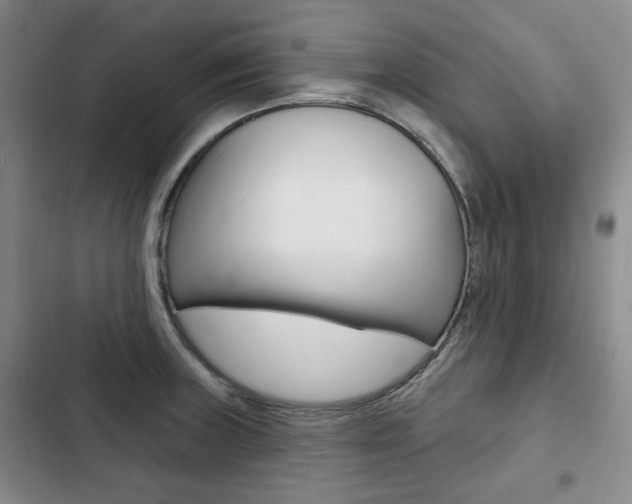 X0000103151235200808221120