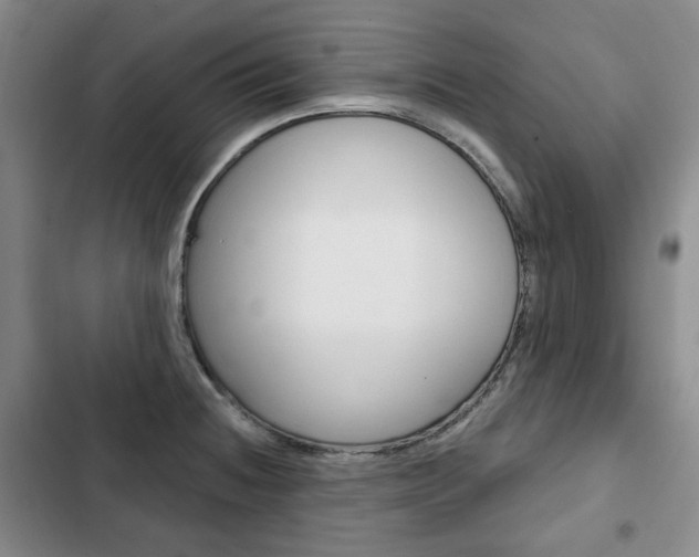 X0000103151236200808221120
