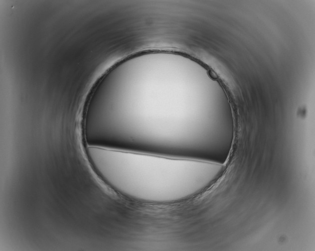X0000103151237200808221120