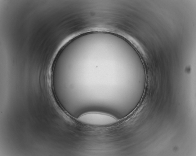 X0000103151238200808221120