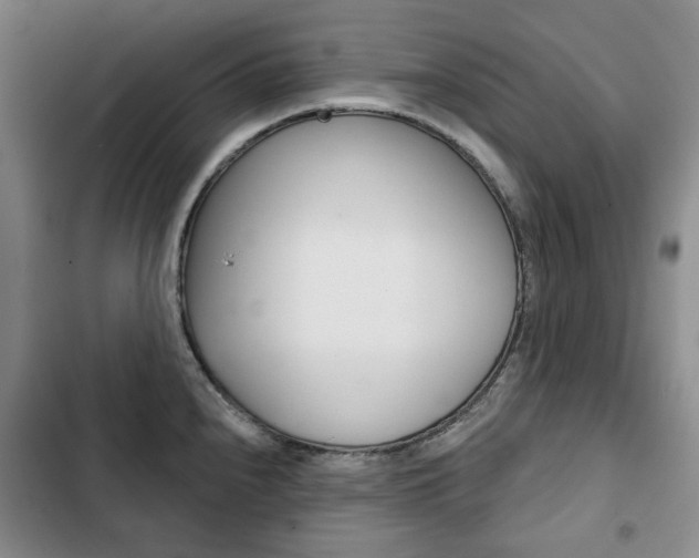 X0000103151240200808221121