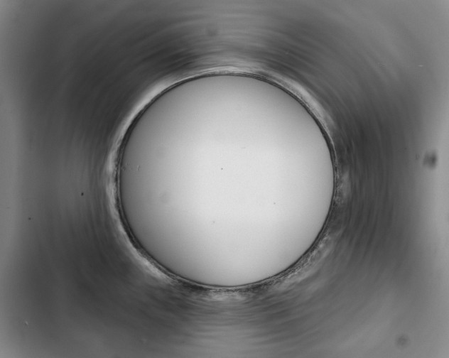 X0000103151243200808221121
