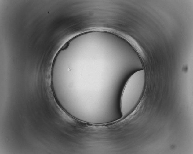 X0000103151244200808221121