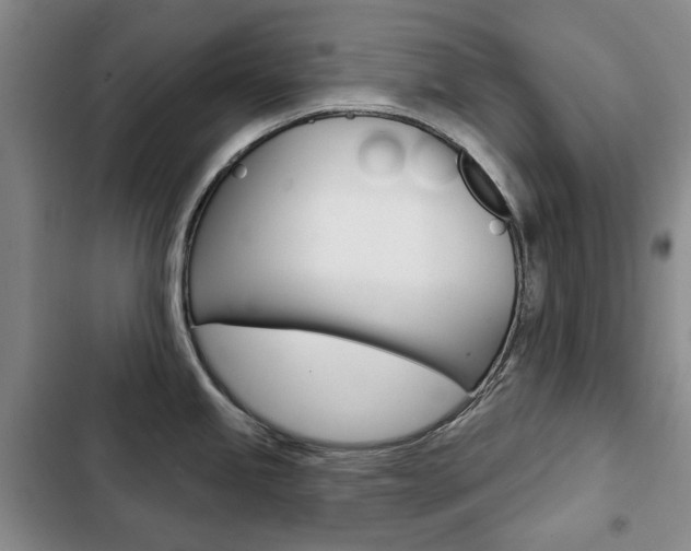X0000103151245200808221121