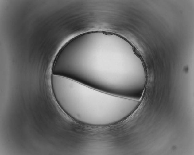 X0000103151246200808221121