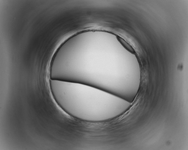 X0000103151247200808221121
