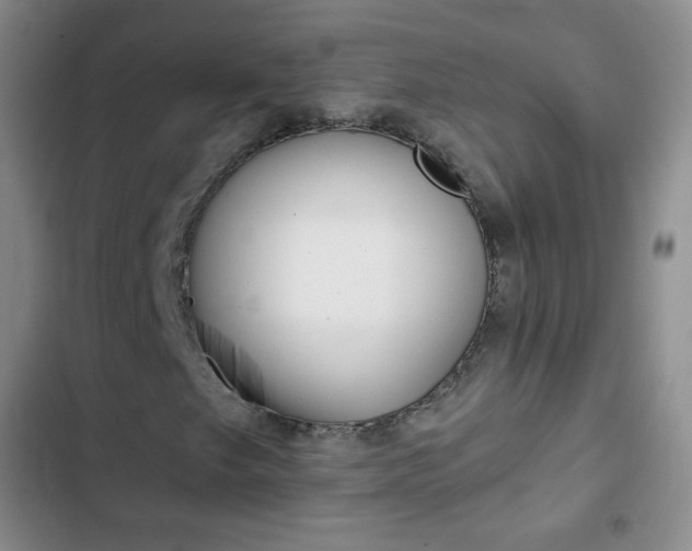 X0000103151249200808221120