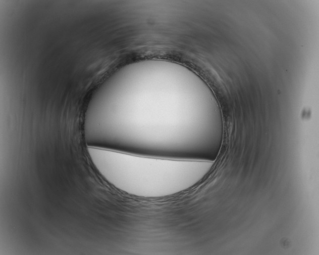 X0000103151250200808221120