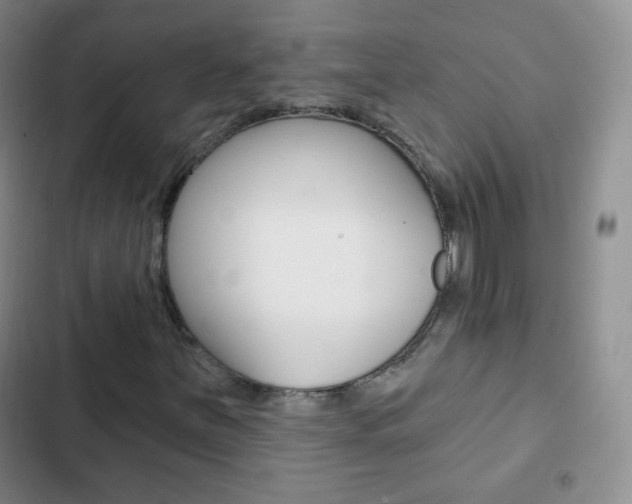 X0000103151251200808221120