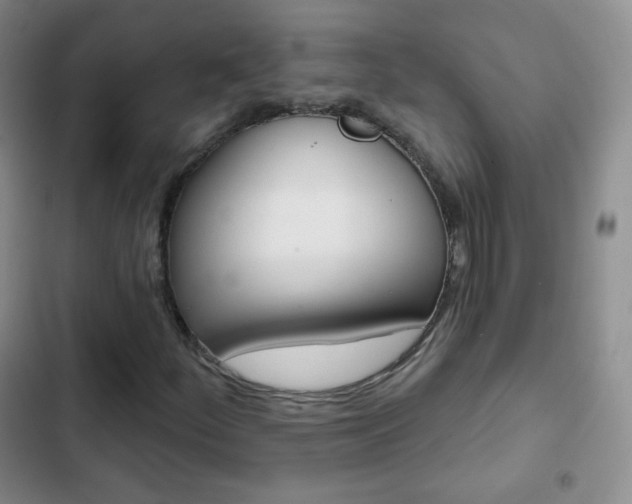X0000103151252200808221120
