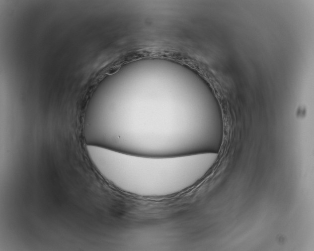 X0000103151253200808221120