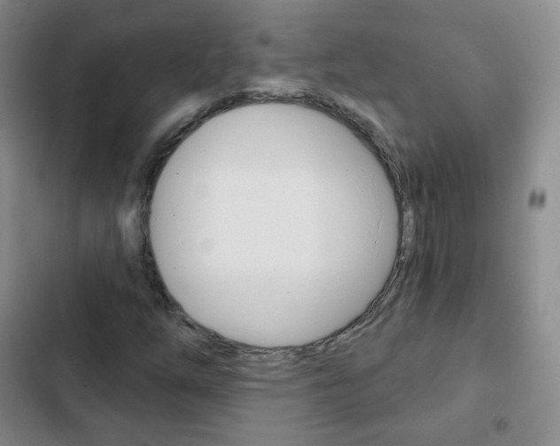 X0000103151254200808221120