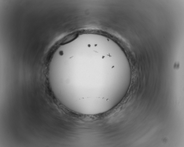 X0000103151255200808221120
