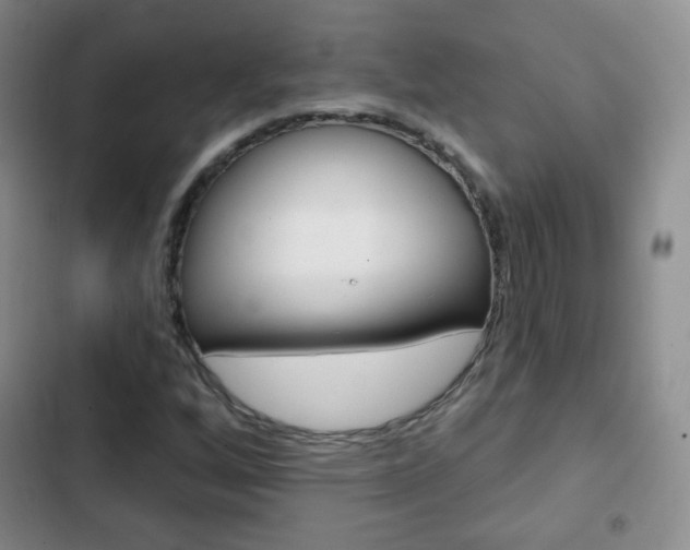 X0000103151256200808221120