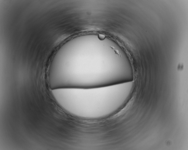 X0000103151257200808221120