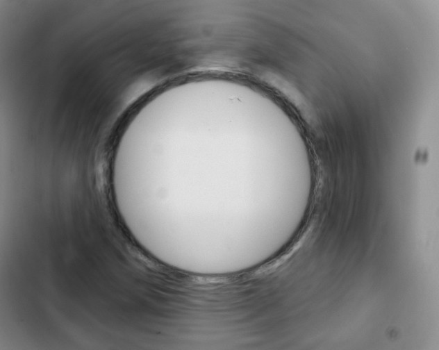 X0000103151258200808221120