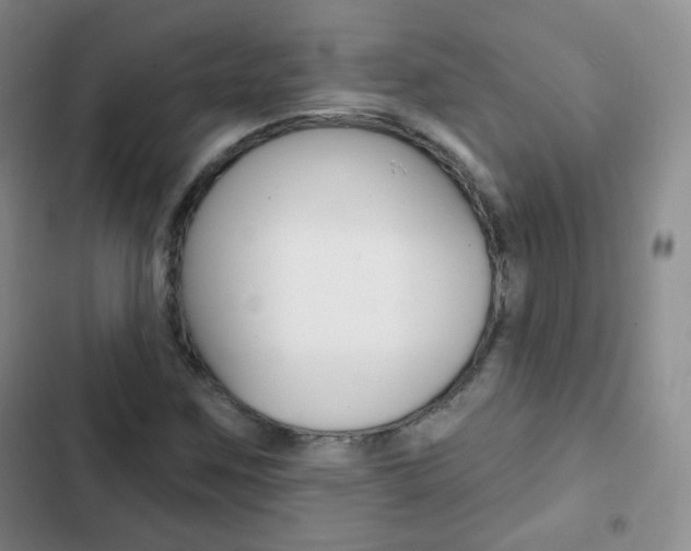 X0000103151259200808221120