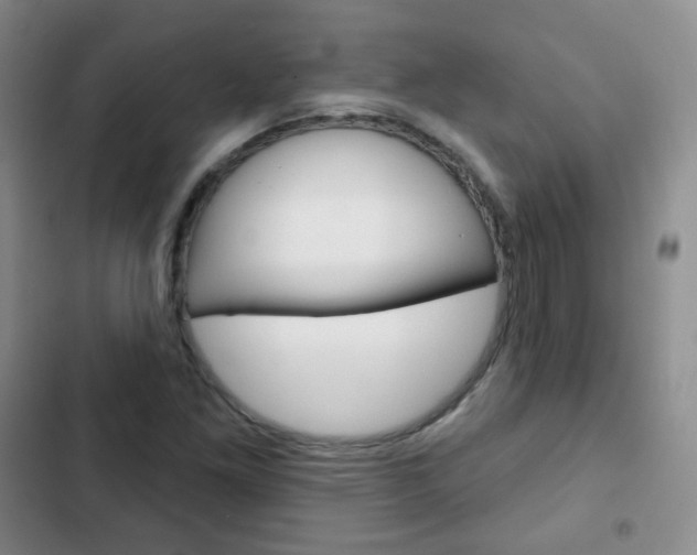 X0000103151261200808221120