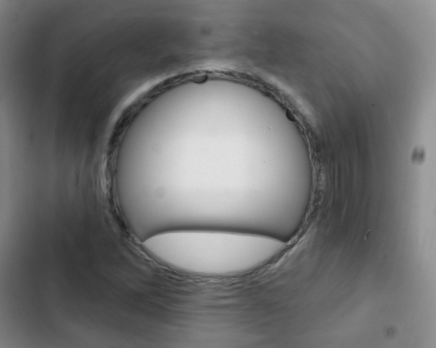 X0000103151262200808221120