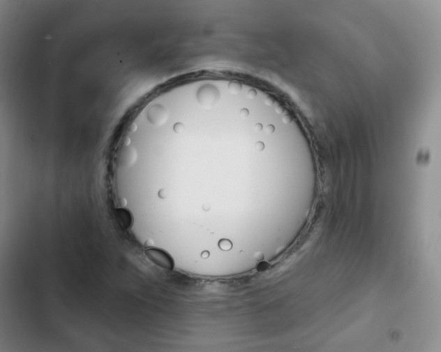 X0000103151263200808221120
