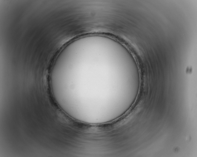 X0000103151265200808221120