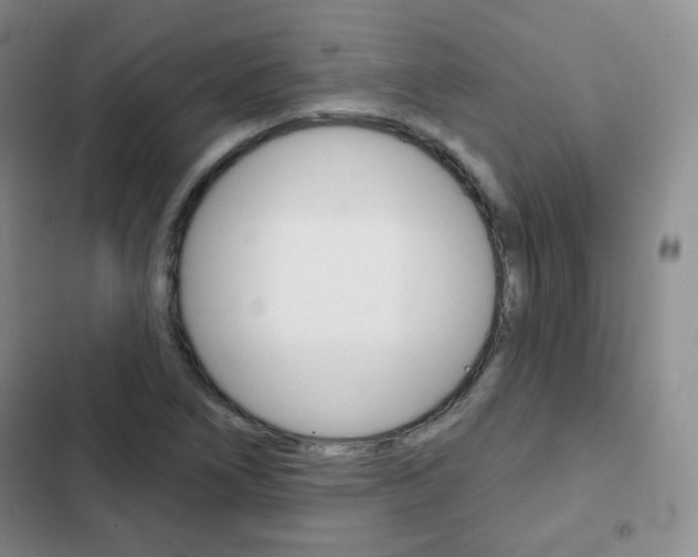 X0000103151266200808221120