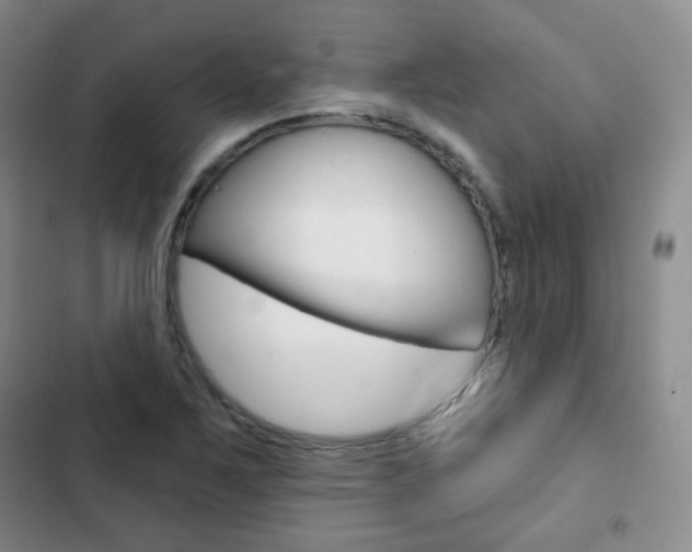 X0000103151267200808221120