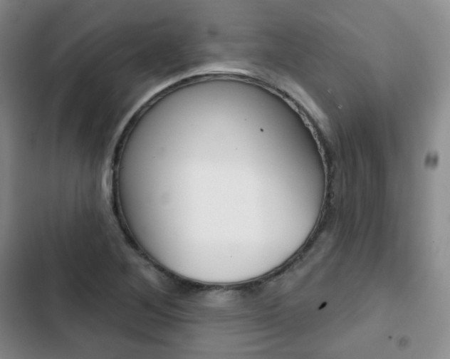 X0000103151268200808221120