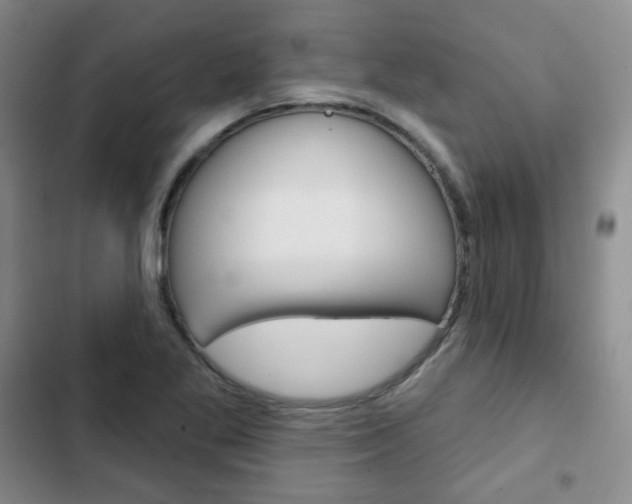 X0000103151269200808221120