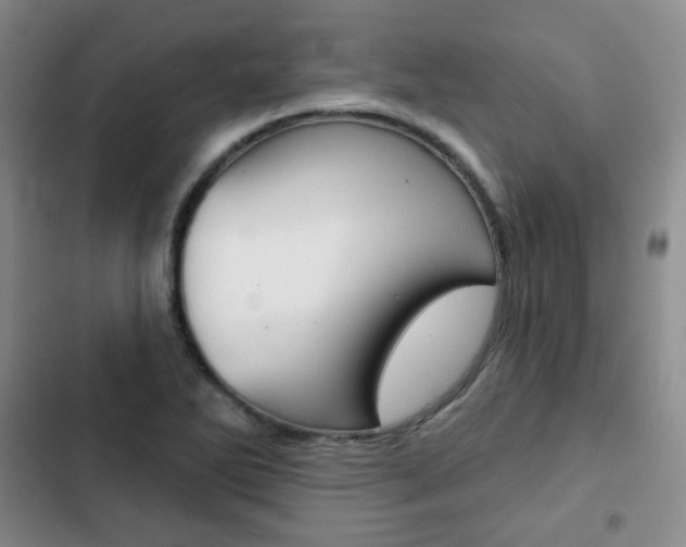 X0000103151270200808221120
