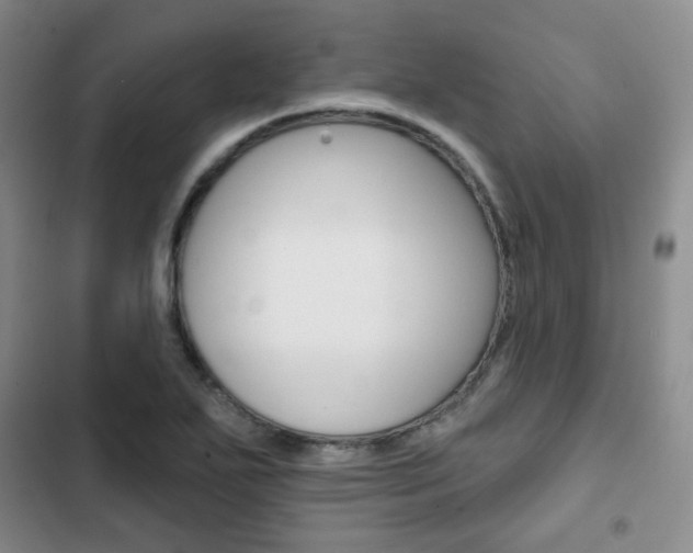 X0000103151271200808221120