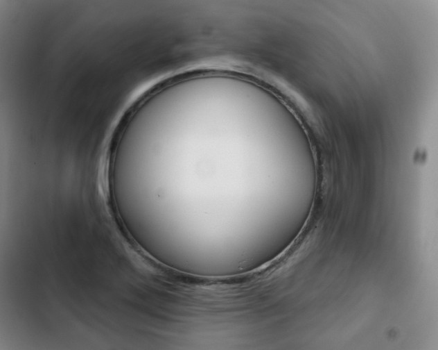X0000103151272200808221120
