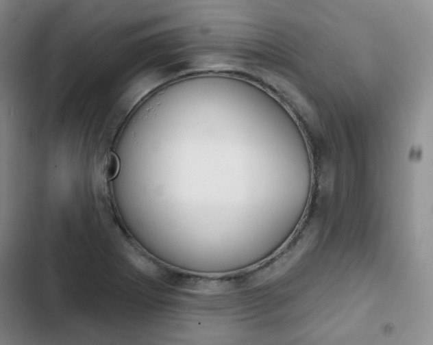 X0000103151273200808221120