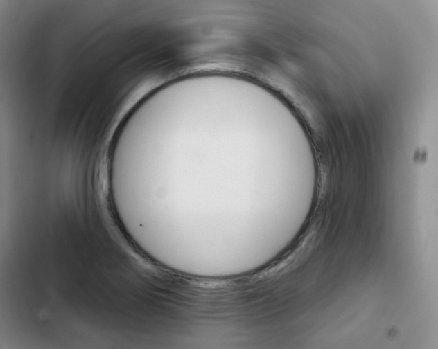X0000103151274200808221120
