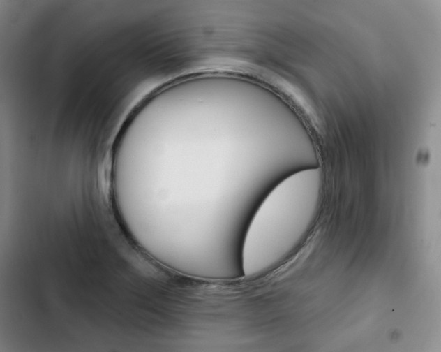 X0000103151275200808221119