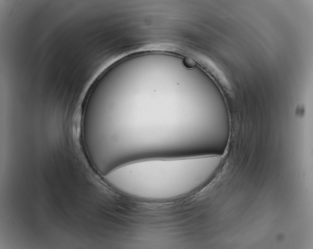 X0000103151276200808221119