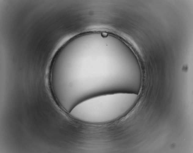 X0000103151277200808221119