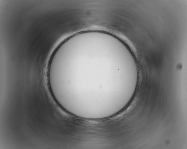 X0000103151278200808221119