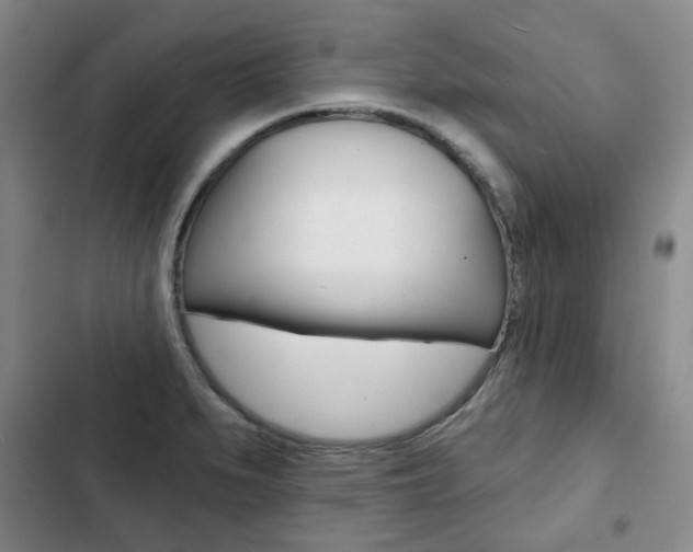 X0000103151279200808221119