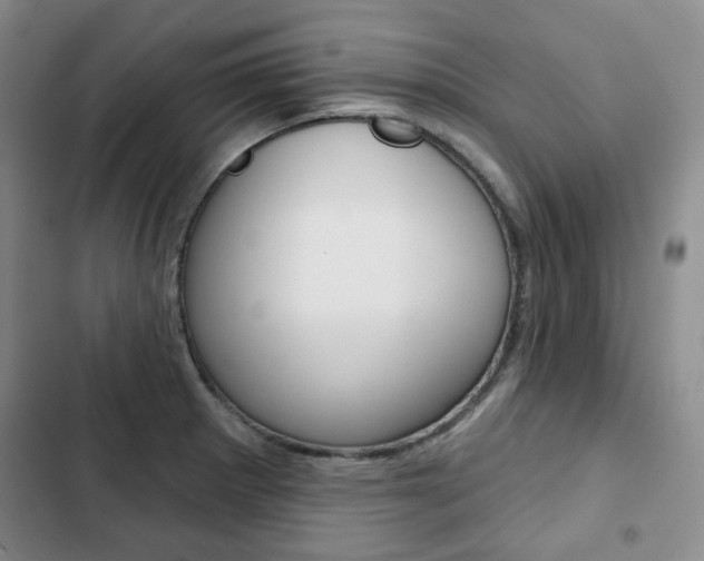 X0000103151281200808221119