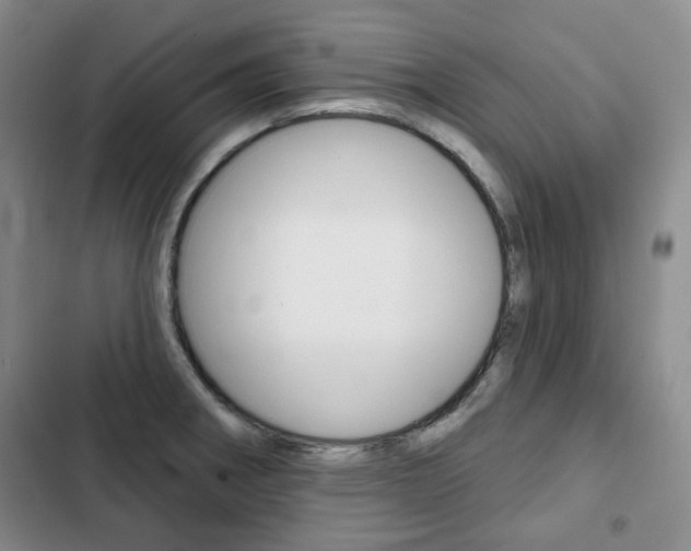 X0000103151282200808221119