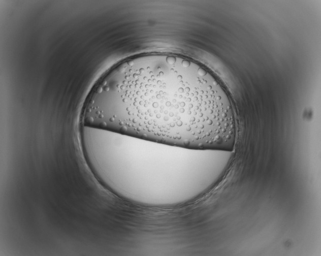 X0000103151283200808221119
