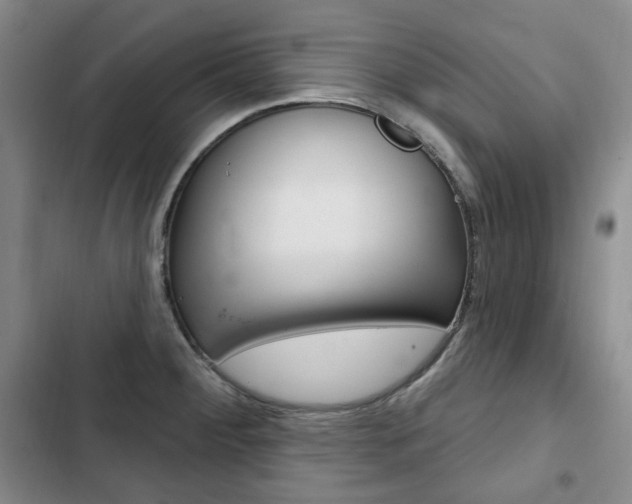 X0000103151284200808221119