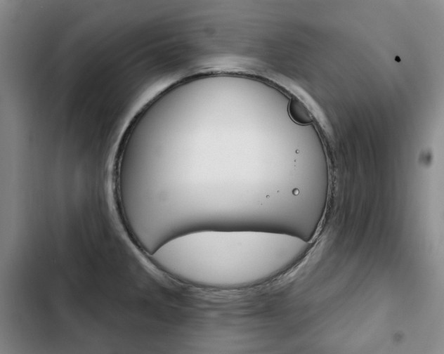 X0000103151285200808221119