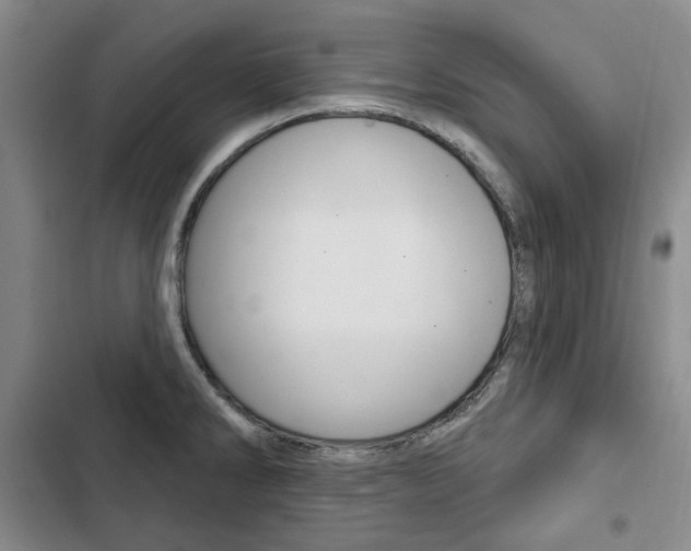X0000103151286200808221119