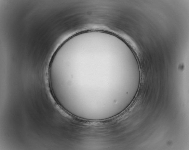X0000103151287200808221119